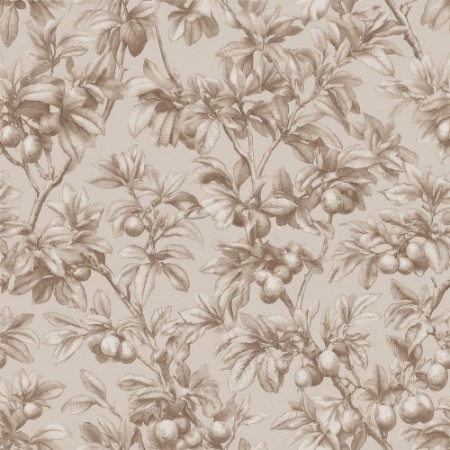 Picture of Esaias Brown - 1105101-02